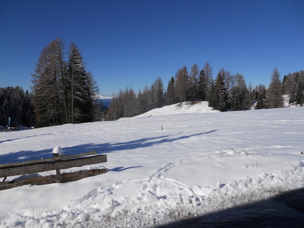 Villa Tamion Vigo di Fassa Eksteriør billede